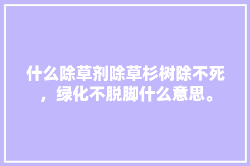 什么除草剂除草杉树除不死，绿化不脱脚什么意思。