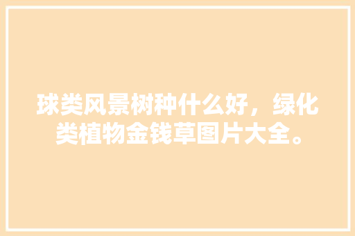球类风景树种什么好，绿化类植物金钱草图片大全。