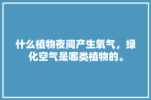 什么植物夜间产生氧气，绿化空气是哪类植物的。