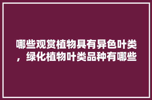 哪些观赏植物具有异色叶类，绿化植物叶类品种有哪些。