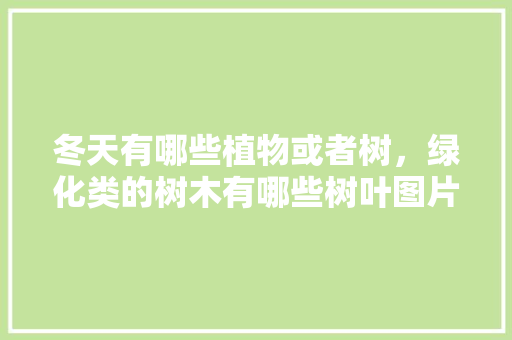 冬天有哪些植物或者树，绿化类的树木有哪些树叶图片。