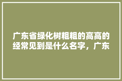 广东省绿化树粗粗的高高的经常见到是什么名字，广东一般有什么绿化树类植物。