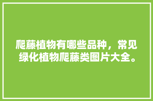 爬藤植物有哪些品种，常见绿化植物爬藤类图片大全。
