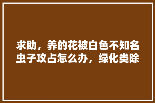 求助，养的花被白色不知名虫子攻占怎么办，绿化类除虫宣传文案简短精辟。