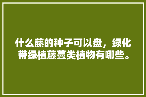 什么藤的种子可以盘，绿化带绿植藤蔓类植物有哪些。