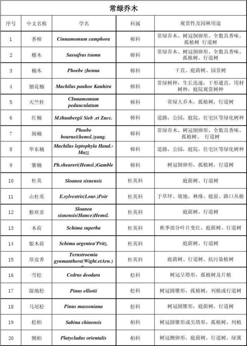 什么是绿可木，绿化木属于什么科属类植物。
