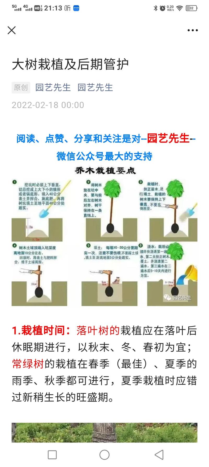 线上种树怎么种植，绿化工程视频教程。