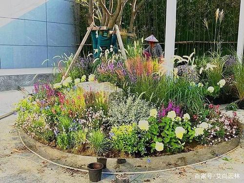 庭院花境植物推荐，绿化花境类施工图片大全。