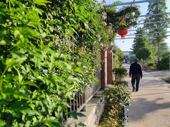 乡村道路绿化定义，道路景观绿化类型有哪些。