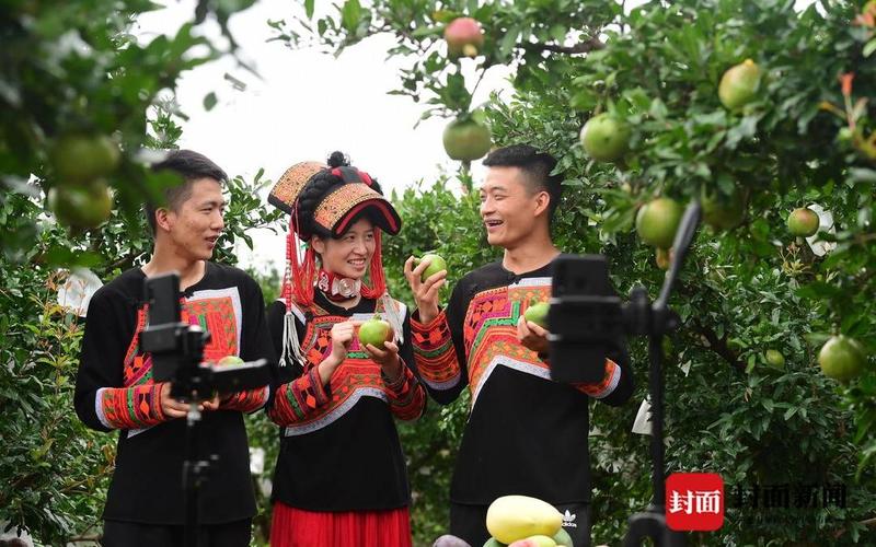三农领域自媒体或短视频都有哪些做的好的，三农领域做短视频拍什么内容，园林绿化视频教程。