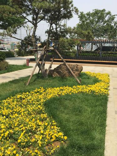 绿化是否属于抵押权范围，园区绿化是不是资产类项目。  第2张 绿化是否属于抵押权范围，园区绿化是不是资产类项目。 苗木百科