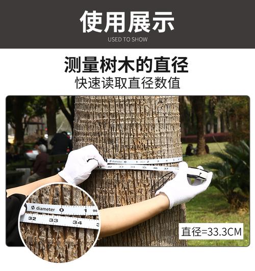 树木的胸径用字母怎么表示，绿化类的树木英语翻译怎么写。