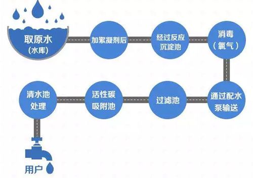 请问：绿化用水和食用自来水的分别，绿化用水属于哪一类用水类别。