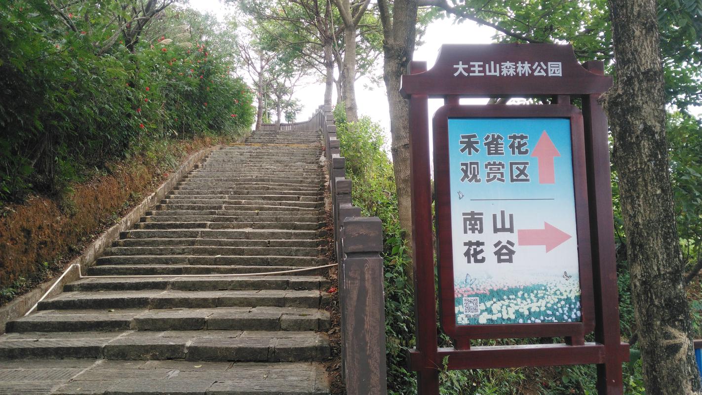 东莞虎门哪里可以爬山，。