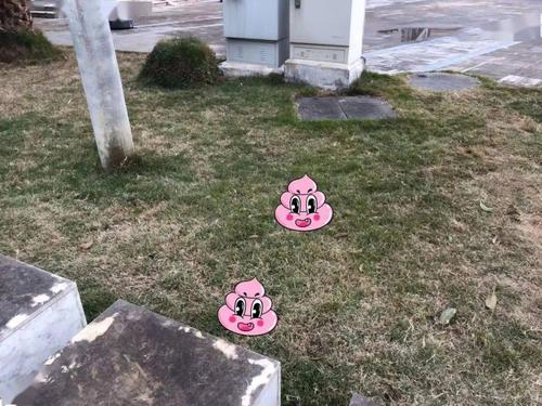 你们怎么看待宠物狗在小区草地上解决大小便现象，常德绿化带是什么树类的。