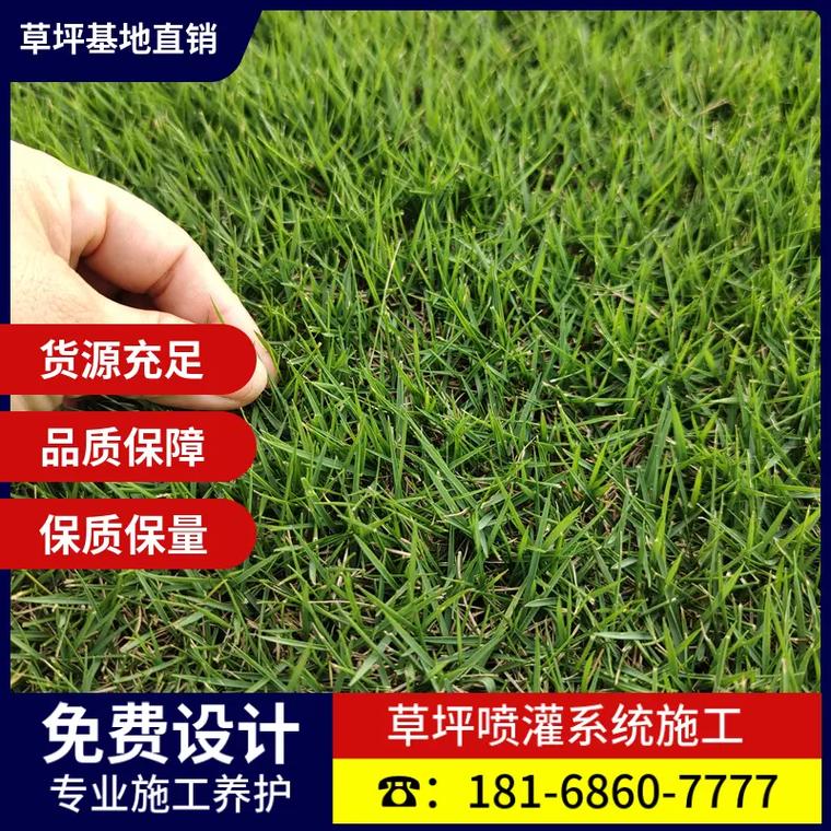 草皮品种有哪些?哪些草皮品种比较好?如果是在南方种植的话，小区绿化草坪类品种及图片。