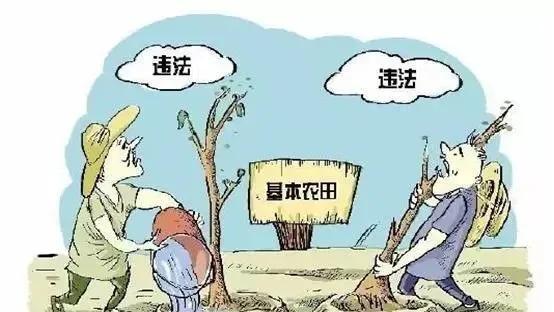 农民基本农田栽绿化树违法吗，农田属于园林绿化类吗为什么。