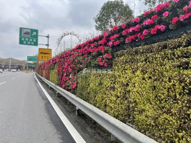 高速公路靠近边坡角的绿化叫啥子绿化,边坡绿化选择哪类植物好。 种植技术 高速公路靠近边坡角的绿化叫啥子绿化,边坡绿化选择哪类植物好。 第2张 高速公路靠近边坡角的绿化叫啥子绿化,边坡绿化选择哪类植物好。 种植技术