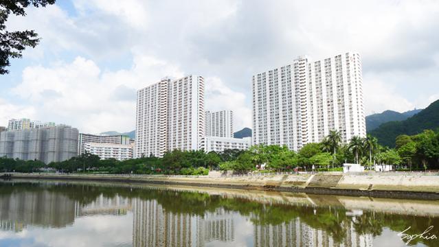 香港各区旧楼街道有那么破烂不堪吗，沙田工程类园林绿化厂家有哪些。