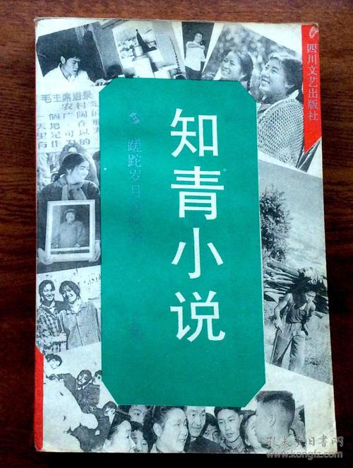 求关于知青的优秀小说，绿化环境类的小说怎么写好。