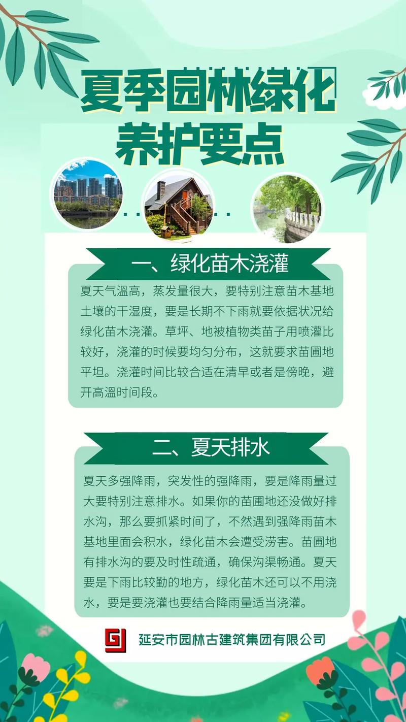 城市绿化管理和绿化养护服务区别,绿化养护是服务类吗。 绿化类 城市绿化管理和绿化养护服务区别,绿化养护是服务类吗。 第2张 城市绿化管理和绿化养护服务区别,绿化养护是服务类吗。 绿化类