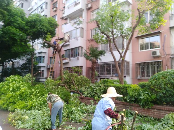 做绿化也叫做工程吗，绿化工程要归哪类工程类别。