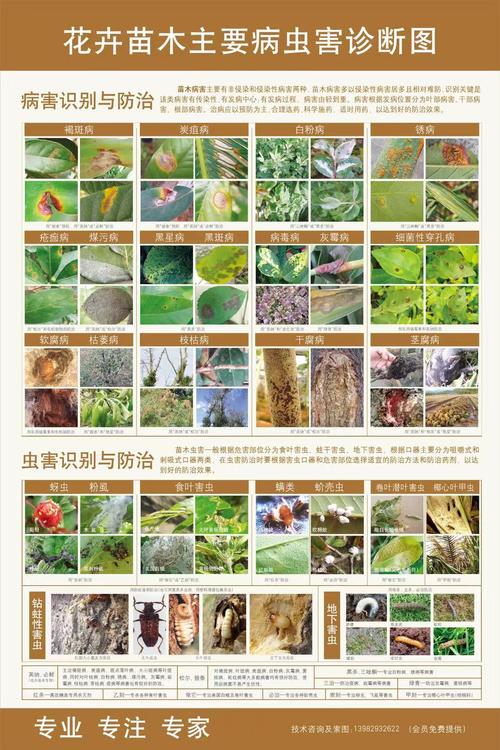 城市的四大害虫，绿化虫害四大类是什么。