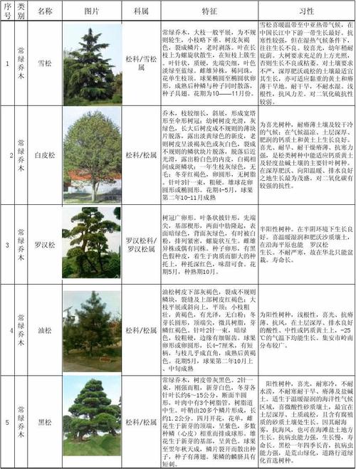 小区园林绿化开票属于哪个大类，绿化管理服务属于哪一类行业。  第2张 小区园林绿化开票属于哪个大类，绿化管理服务属于哪一类行业。 种子类