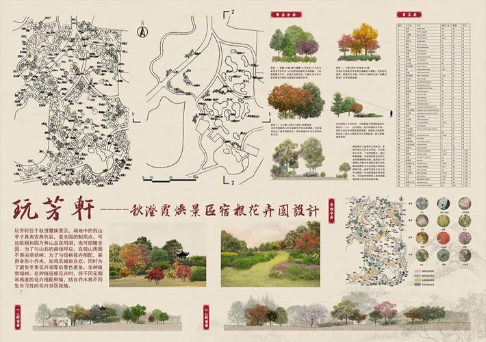 沙棘林的生长条件，沙棘类绿化方案设计图。