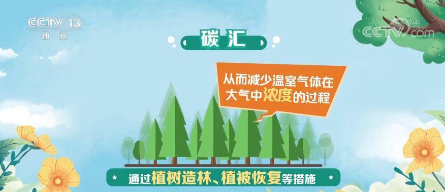 植树造林如何获得碳指标，绿化碳汇。