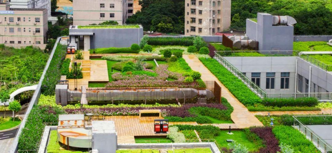 高层屋顶可以做绿化吗？有安全问题吗？16层，屋顶绿化类型分为。