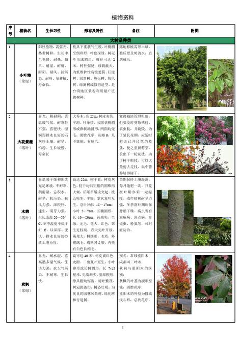 树的种类名称，植篱类树种。
