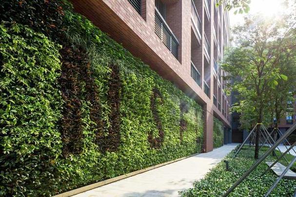 小区的绿化和道路属于什么用地，校园绿化属于哪类用地类型。