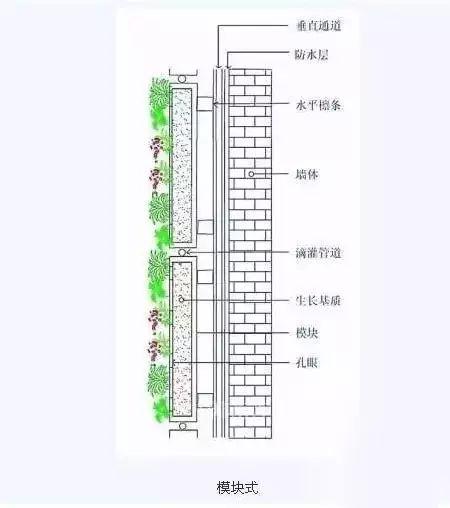 绿化参数来源，棕榈类绿化的测量方法有哪些。