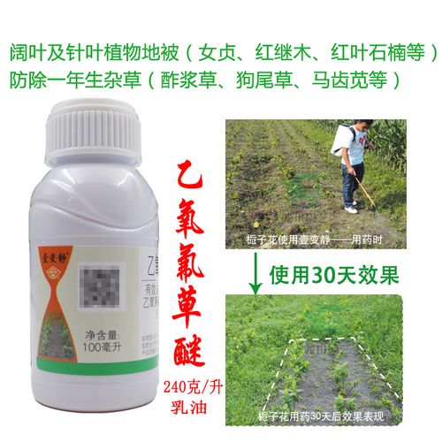 什么除草剂除草杉树除不死，绿化不脱脚什么意思。