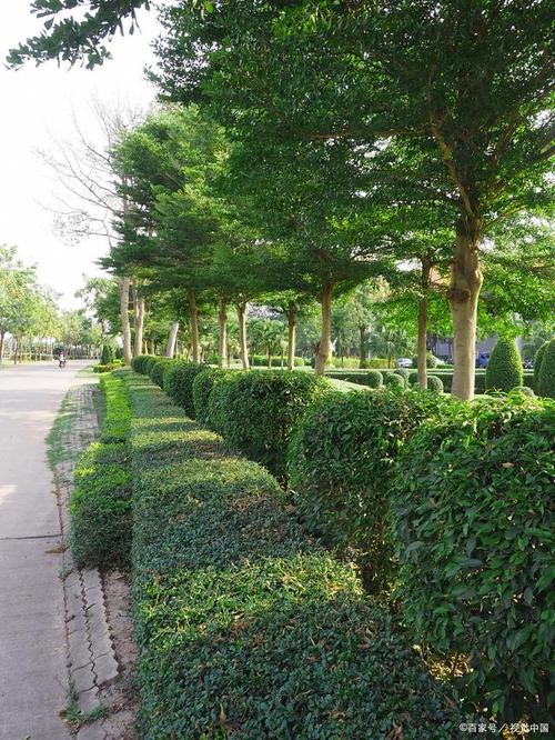 道路绿化苗木一般有哪些，一类工业绿化带是指什么。