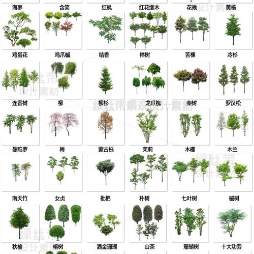 常绿灌木、乔木，落叶灌木、乔木分别有哪些，指全部种类（苗木），园林绿化苗木分类灌木类有哪些。