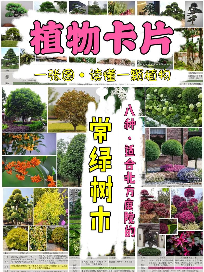 木巢意思，小区绿化绿植树类有哪些。